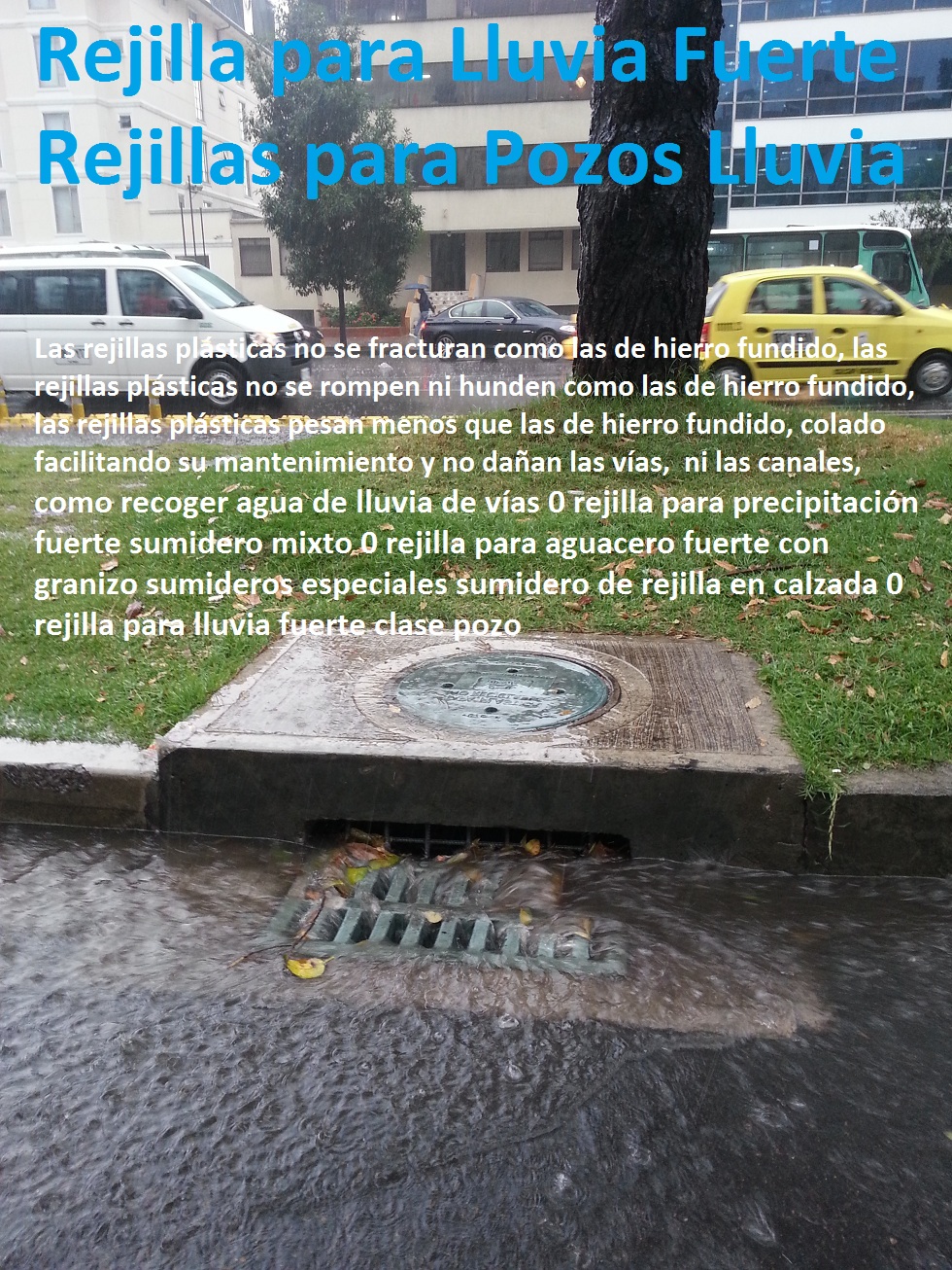 Rejilla plástica como recoger agua de lluvia de vías 0 rejilla para precipitación fuerte sumidero mixto 0 rejilla para aguacero fuerte sumideros especiales sumidero de rejilla en calzada 0 rejilla para lluvia fuerte clase pozo Rejilla plástica como recoger agua de lluvia de vías 0 rejilla para precipitación fuerte sumidero mixto 0 rejilla para aguacero fuerte sumideros especiales sumidero de rejilla en calzada 0 rejilla para lluvia fuerte clase pozo Rejilla plástica como recoger agua de lluvia de vías 0 rejilla para precipitación fuerte sumidero mixto 0 rejilla para aguacero fuerte sumideros especiales sumidero de rejilla en calzada 0 rejilla para lluvia fuerte clase pozo